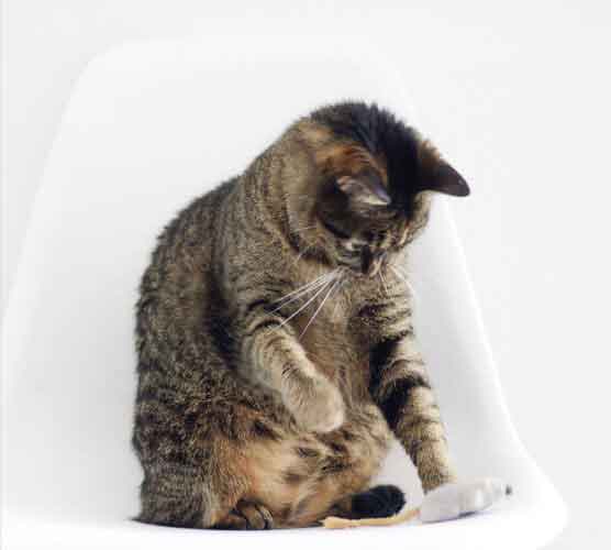 中国移动防电话轰炸